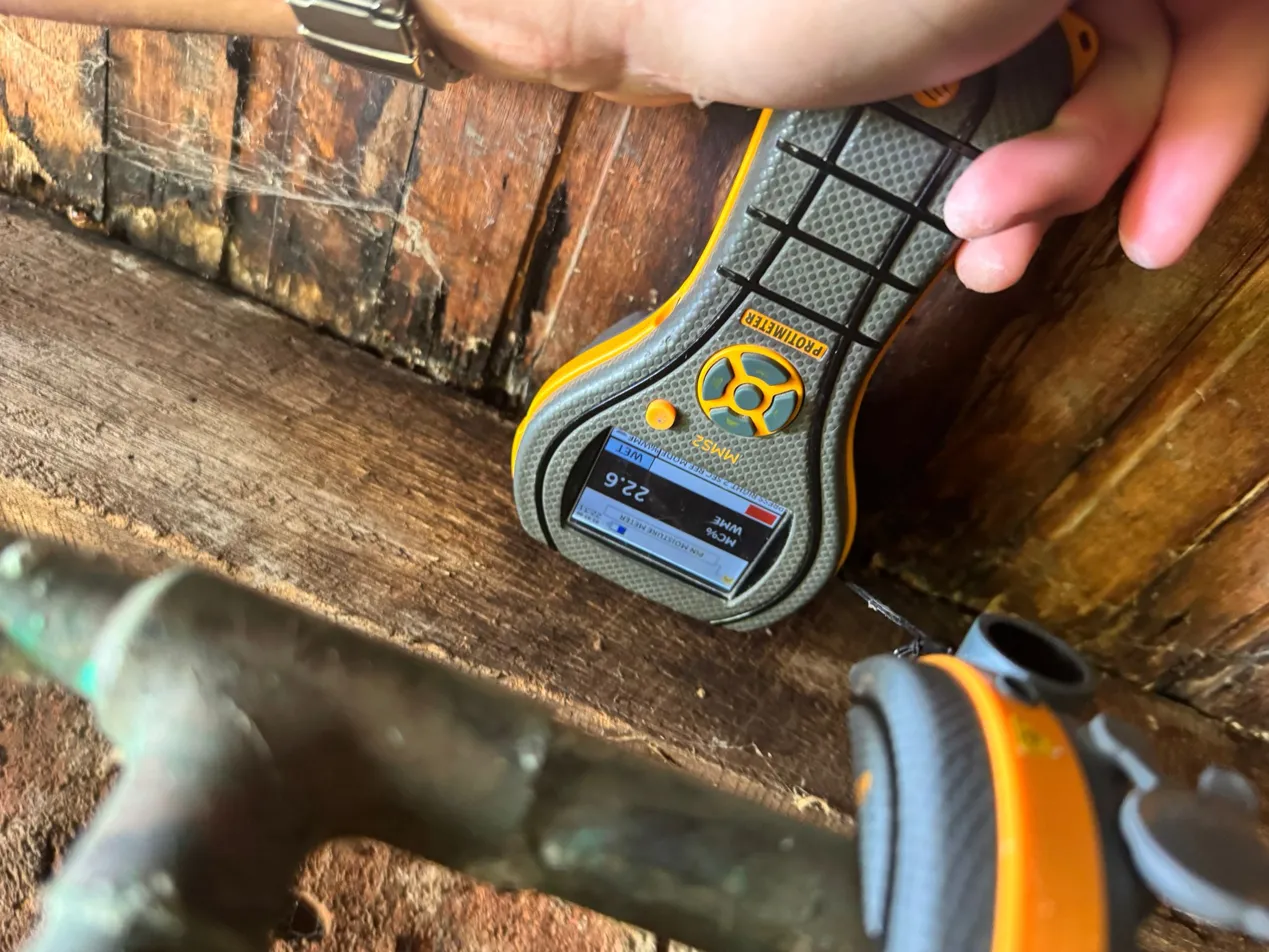 Protimeter moisture meter reading on wet timber subfloor